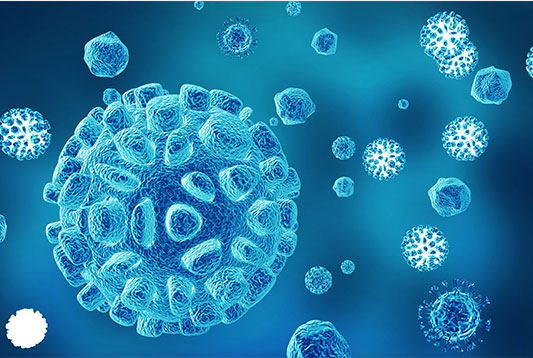 干细胞及免疫细胞存储